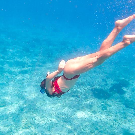 snorkeling ste anne marine park